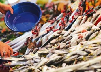 Bu balığı yiyenler o hastalıktan sonsuza kadar kurtulacak! Gözümüzün önündeki gizli cevher…